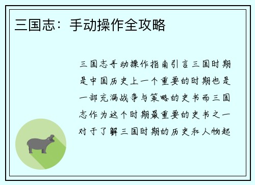 三国志：手动操作全攻略